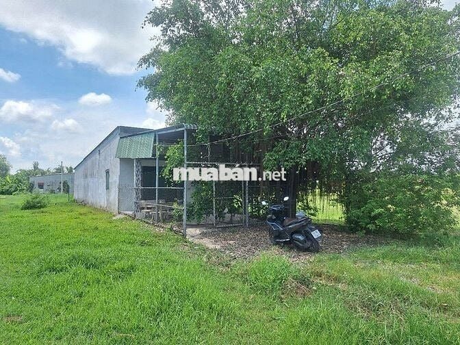CHÍNH CHỦ BÁN GẤP LÔ ĐẤT 353m² FULL THỔ CƯ – CÓ SẴN NHÀ CẤP 4