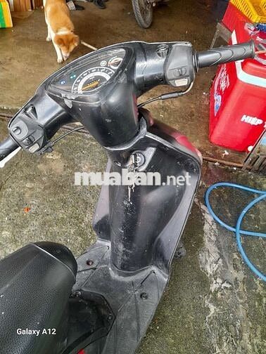 Yamaha Mio Xe đi nhậu mà có Cavet đầy đủ 