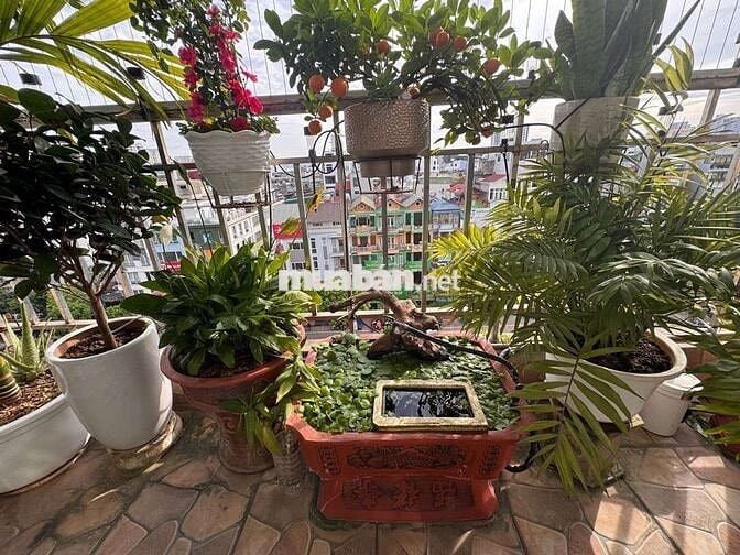 🏡 CHUNG CƯ BÁO ANTĐ NGUYỄN HOÀNG 132M TẦNG TRUNG ĐẸP 3PN Giá từ 11 TỶ