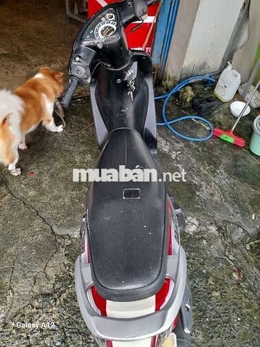 Yamaha Mio Xe đi nhậu mà có Cavet đầy đủ 