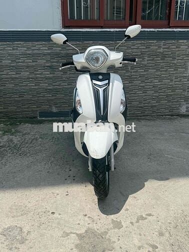 Yamaha Grande Trắng