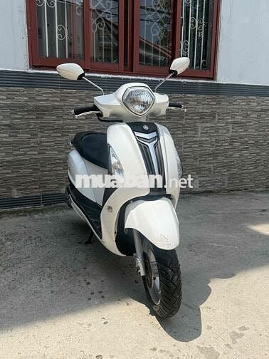 Yamaha Grande Trắng