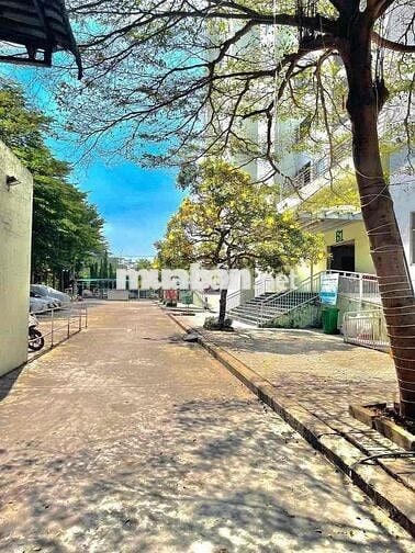Bán chung cư Nhất Lan 3. SHR. 62m2. 2pn 1wc. Hỗ trợ vay HOF