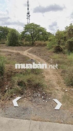 1065M2 TMDV MT ĐÌNH BÌNH TRƯỜNG