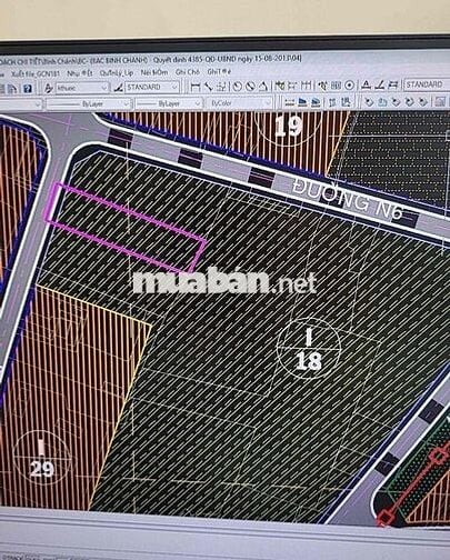 1065M2 TMDV MT ĐÌNH BÌNH TRƯỜNG
