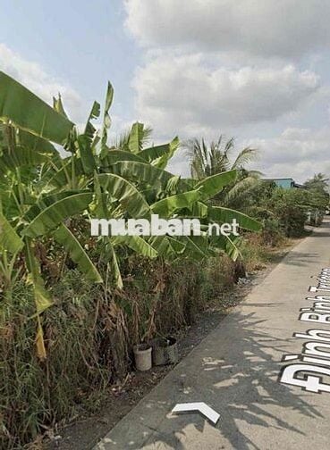 1065M2 TMDV MT ĐÌNH BÌNH TRƯỜNG