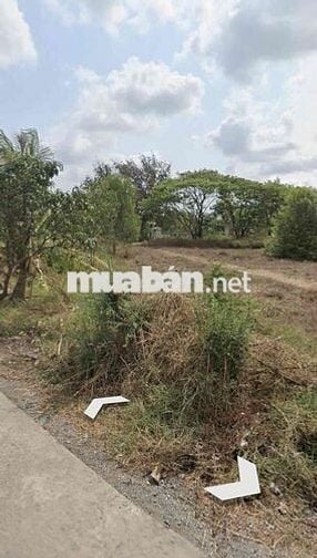 1065M2 TMDV MT ĐÌNH BÌNH TRƯỜNG