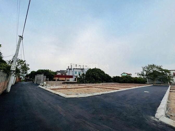 cần bán gấp mảnh đất siêu full thổ cư 