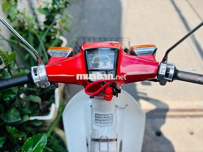 Honda Cub DD70 BSTP