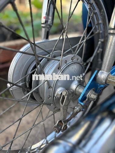 Honda Cub 81-50cc BSTP KHÔNG CẦN BẰNG LÁI