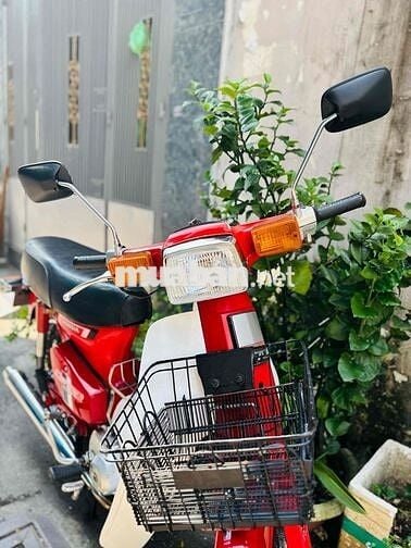 Honda Cub DD70 BSTP