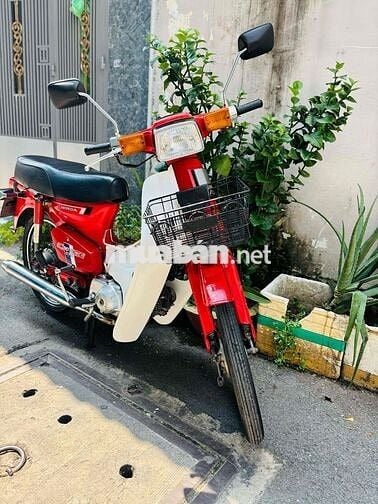 Honda Cub DD70 BSTP