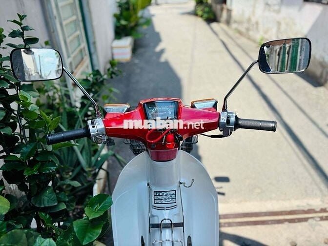 Honda Cub DD70 BSTP