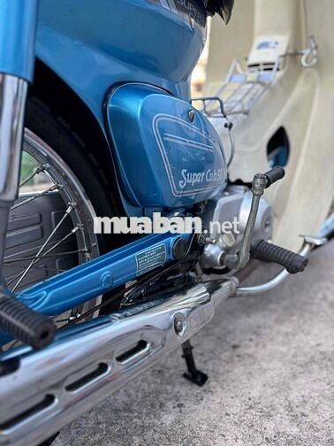 Honda Cub 81-50cc BSTP KHÔNG CẦN BẰNG LÁI