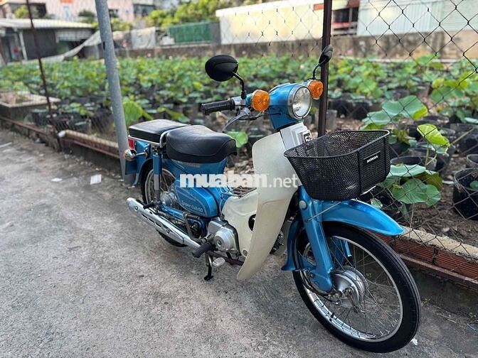 Honda Cub 81-50cc BSTP KHÔNG CẦN BẰNG LÁI