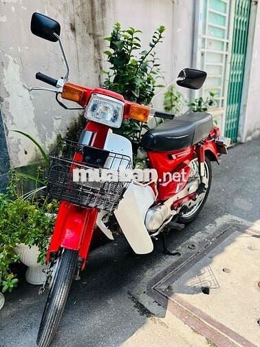 Honda Cub DD70 BSTP