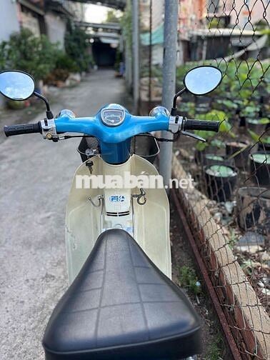 Honda Cub 81-50cc BSTP KHÔNG CẦN BẰNG LÁI