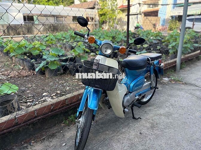 Honda Cub 81-50cc BSTP KHÔNG CẦN BẰNG LÁI