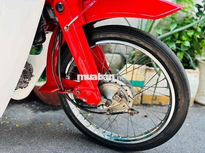 Honda Cub DD70 BSTP