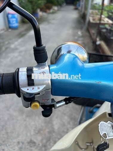 Honda Cub 81-50cc BSTP KHÔNG CẦN BẰNG LÁI