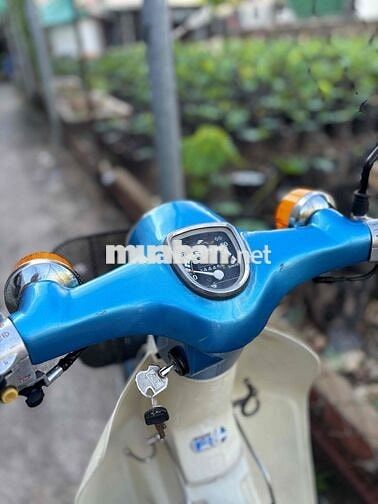 Honda Cub 81-50cc BSTP KHÔNG CẦN BẰNG LÁI