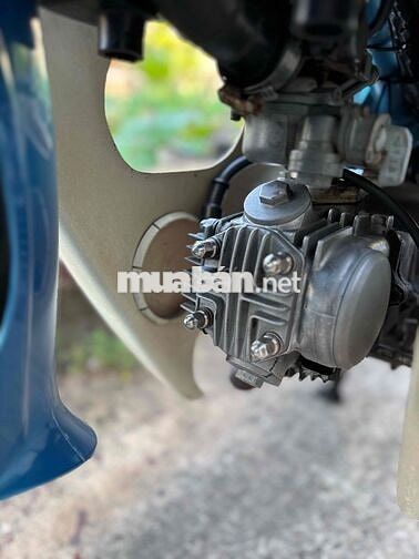Honda Cub 81-50cc BSTP KHÔNG CẦN BẰNG LÁI