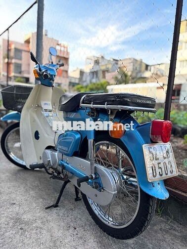 Honda Cub 81-50cc BSTP KHÔNG CẦN BẰNG LÁI