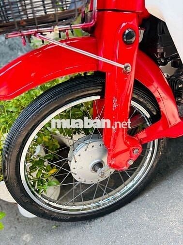 Honda Cub DD70 BSTP