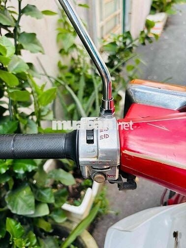 Honda Cub DD70 BSTP