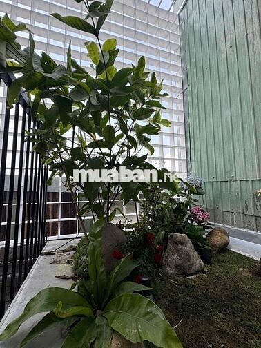 🏠 🌊 CHO THUÊ NHÀ 3 TẦNG TRẦN HOÀNH