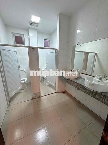 Cho thuê tòa nhà VP Bùi Đình Túy 8x30m, 6 tầng, thang máy, 90tr