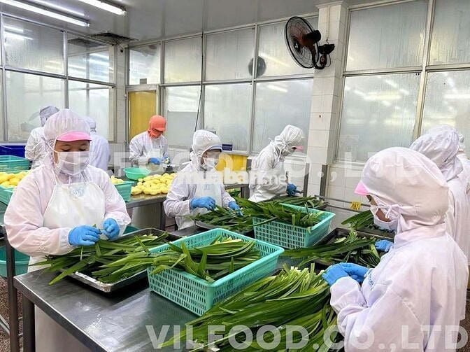 [CTY CBTP VĨNH LỘC -  KCN VĨNH LỘC] - TUYỂN LĐ PT