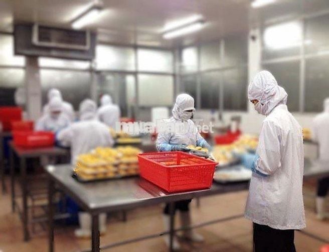 [CTY CBTP VĨNH LỘC -  KCN VĨNH LỘC] - TUYỂN LĐ PT