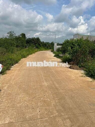 Bán gấp đất thổ cư đường bê tông đủ tiện ích pvi 500M