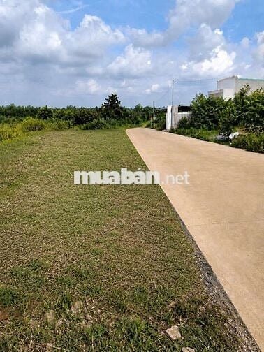 BÁN GẤP – 161m² THỔ CƯ – SỔ RIÊNG – CHỈ 670 TRIỆU