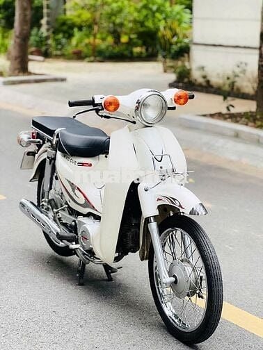 Honda Cub 50cc Trắng Học sinh đi học