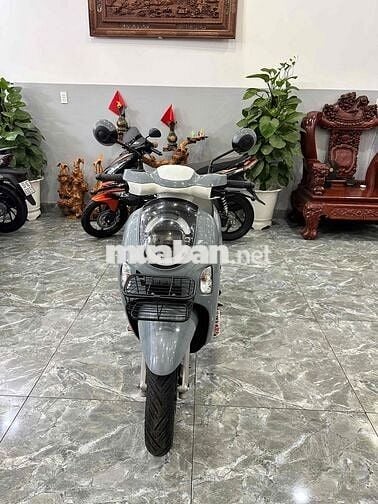 Honda Scoopy 2025 Xám 3200 km