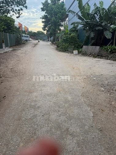Cho thuê nhà tại Tân Xuân,Xuân Đỉnh, MIỄN QUẢNG CÁO GỌI ĐIỆN