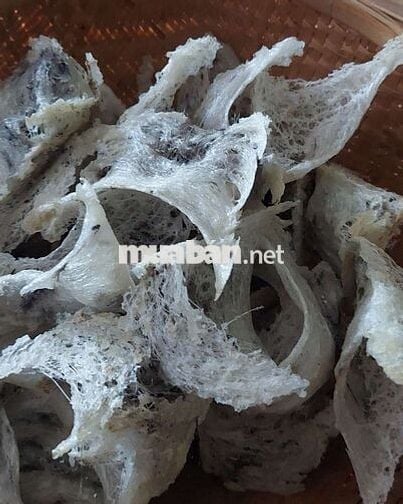 BÁN NHÀ YẾN LONG AN ĐANG KHAI THÁC