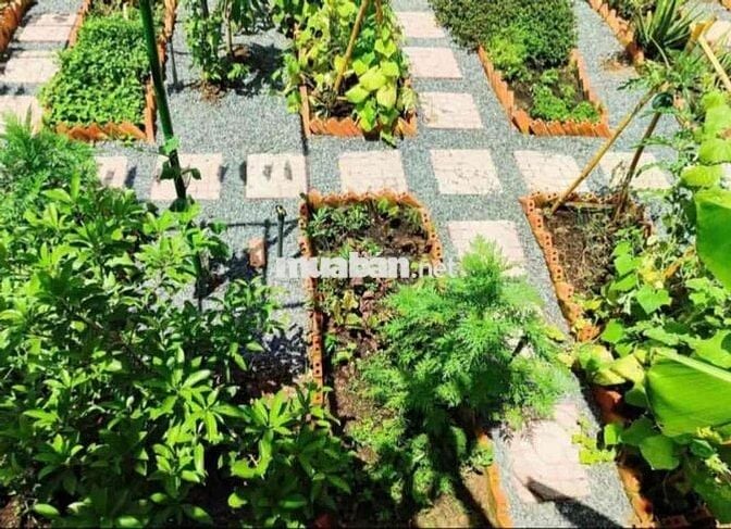 chính chủ cần tiền muốn bán gấp lô đất giá rẻ