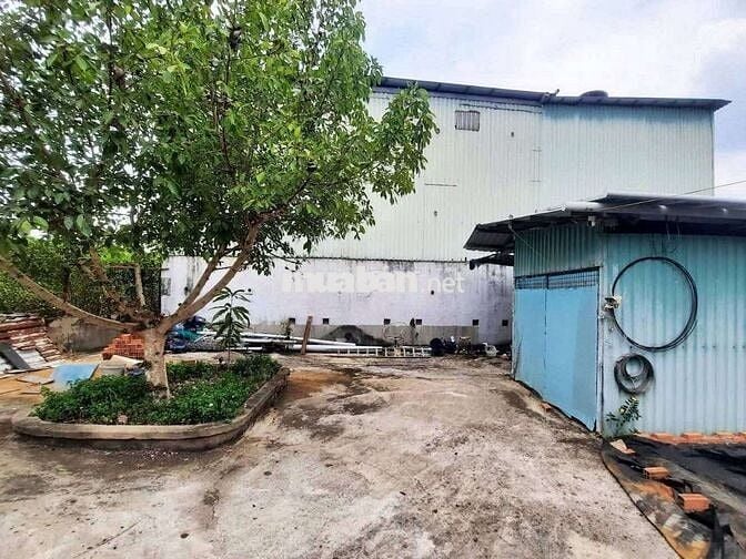 BÁN NHÀ YẾN LONG AN ĐANG KHAI THÁC