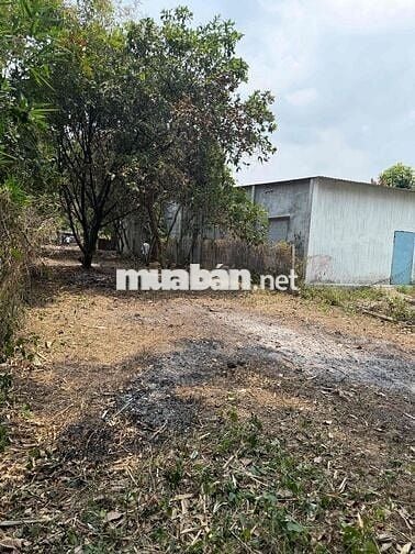 Đất thổ cư mặt tiền Xã Phú Hoà Đông