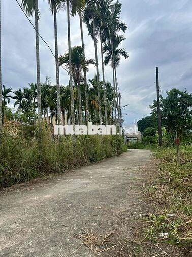Bán Đất ở Tại Phong Nam Đà Nẵng