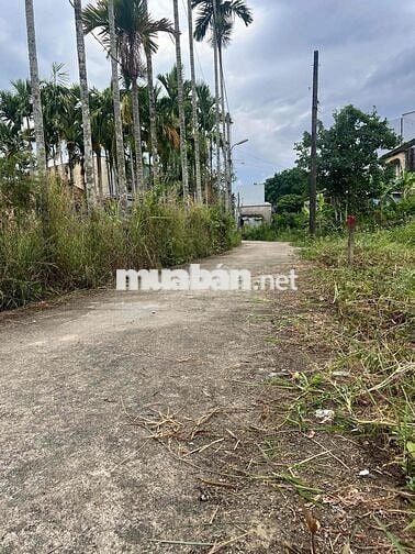 Bán Đất ở Tại Phong Nam Đà Nẵng