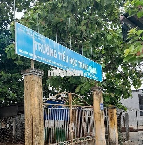 Mặt tiền kinh doanh 260 giá 1,1 tỷ sổ hồng riêng, trung tâm Trảng Bàng