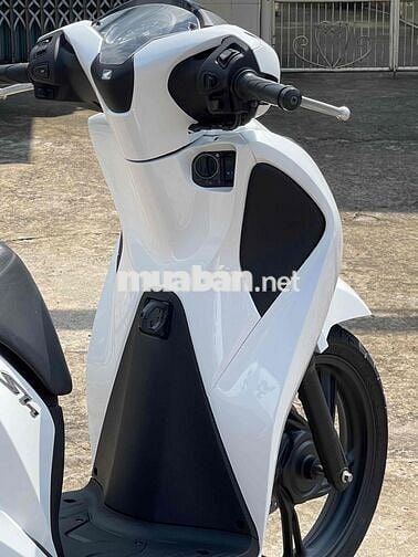 Honda SH150 2019 Trắng đen Tự động