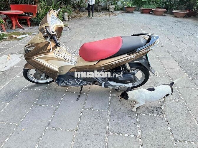 Honda Air Blade Vàng đồng