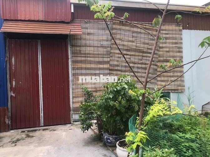 Đất 60m2 ngang 4,4m Đường 203 Lâm Động 1,49 tỷ