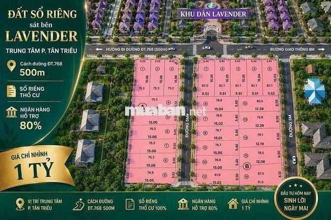 Sỉ Lô Đất Nền F0 mới ra sổ sát gần KDC lavender, giá nhỉnh hơn 1 tỷ