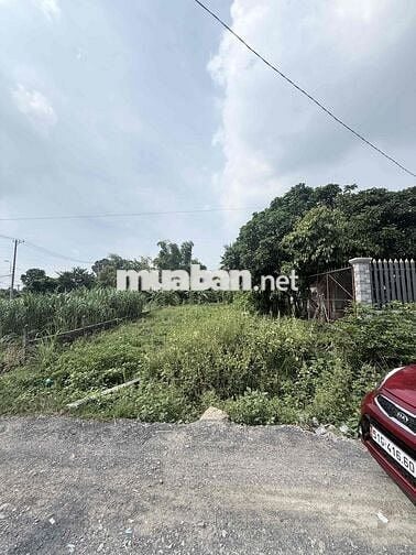 Bán đất 580m² có 300m² thổ cư, ngang 14m, đường ô tô, Củ Chi